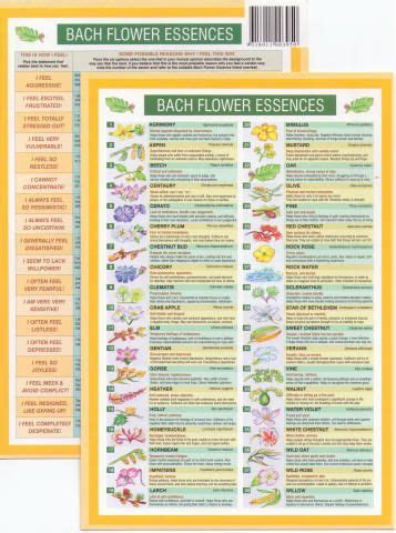Bach Flower Remedies Mini Chart | Bach flowers, Herbal ...