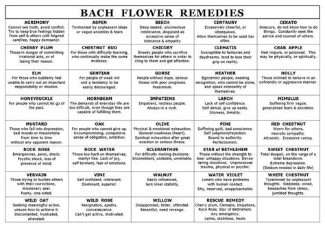 Bach Flower Remedies | Natural Shield | Pinterest | The o ...