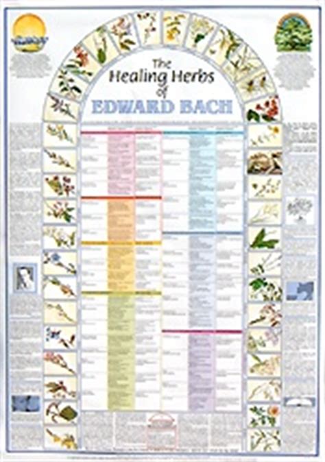 Bach Flower Remedy Wall Chart   Ready Reference Poster