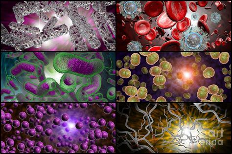 Bacteria Infection Collage Photograph by Ezume Images | Fine Art America