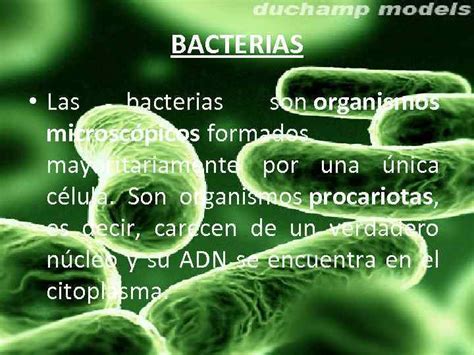 BACTERIAS BACTERIAS Las bacterias son organismos