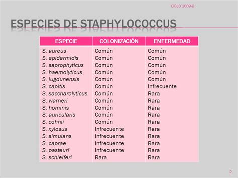 Bacterias de importancia médica: staphylococcus  aureus ...