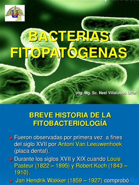 Bacterias Fitopatógenas | Las bacterias | Citoplasma