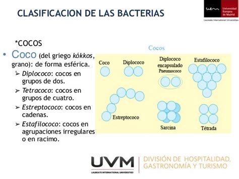 Bacterias generalidades