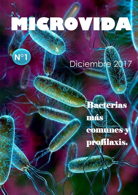 Bacterias más comunes y profilaxis. by alma.denisse_2001   Issuu
