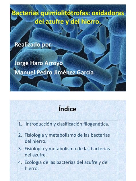 Bacterias quimiolitótrofas del hierro y azufre  presentacion ...