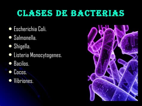 Bacterias — WikiSabio