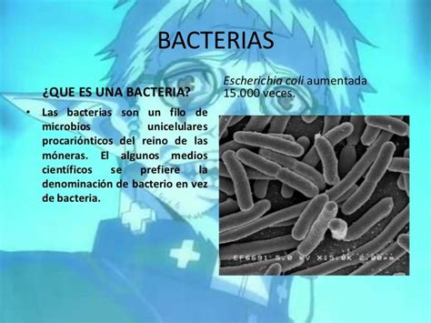 Bacterias y virus.ppt