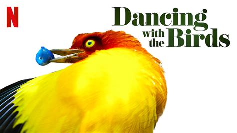 Bailando con los pájaros  2019  HD 1080p y 720p Latino Dual