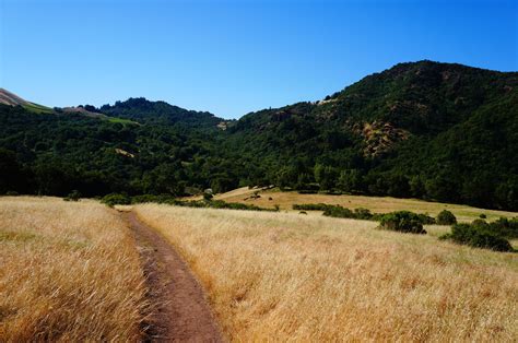 Bald Mountain Trail   California | AllTrails.com