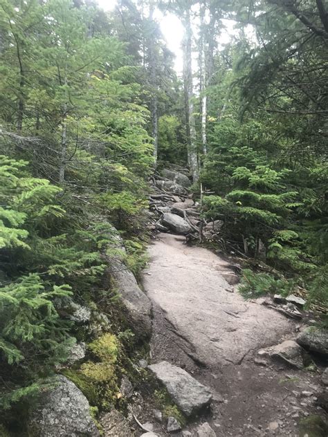 Bald Mountain Trail   Maine | AllTrails