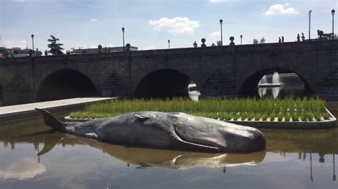Ballena en el río Manzanares de Madrid / Whale in Madrid ...