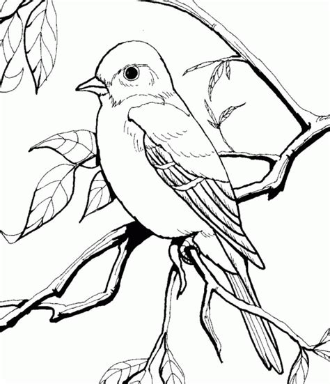 Baltimore Orioles Coloring Pages   Coloring Home