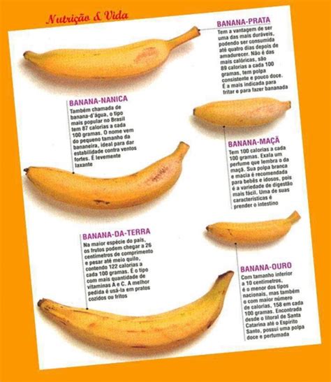 Banana Varieties | Bananalabel Catalog
