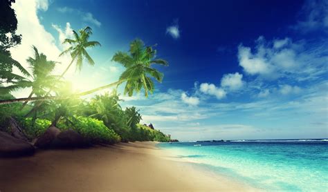 Banco de Imágenes: 30 fotos de playas tropicales con agua ...