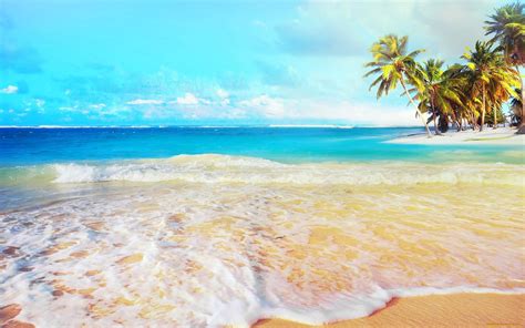 BANCO DE IMÁGENES: 30 fotos de playas tropicales con agua ...