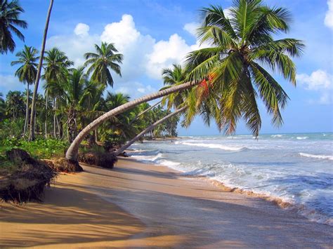 BANCO DE IMÁGENES GRATIS: 10 fotos de playas tropicales ...