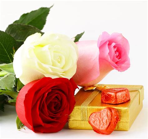 Banco de Imágenes Gratis: 20 imágenes de amor, corazones, flores y ...