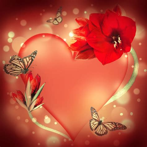 Banco de Imágenes Gratis: Corazón de amor con flores, mariposas y ...