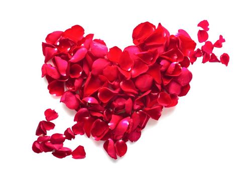 Banco de Imágenes Gratis: Corazón hecho con pétalos de rosas rojas ...