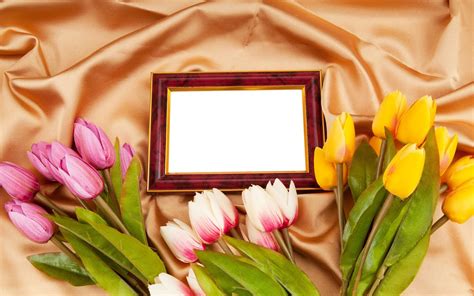 Banco de Imágenes Gratis: Portaretratos con tulipanes para colocar tu ...