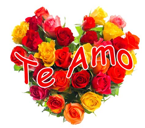 Banco de Imágenes Gratis: Te Amo   Corazón con rosas de colores y ...