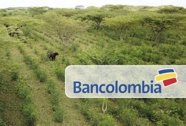 Bancolombia lanza nueva línea de crédito para ganadería sostenible ...