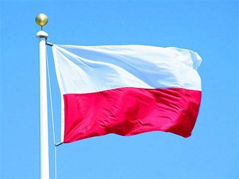 Bandera de Polonia. ¡Envío GRATIS! | Remesador.es