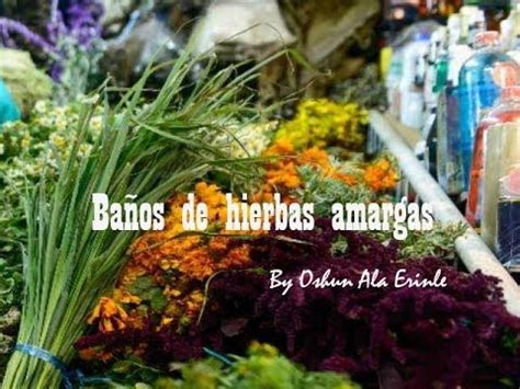 Baños de hierbas amargas | Plants, Herbs, Youtube