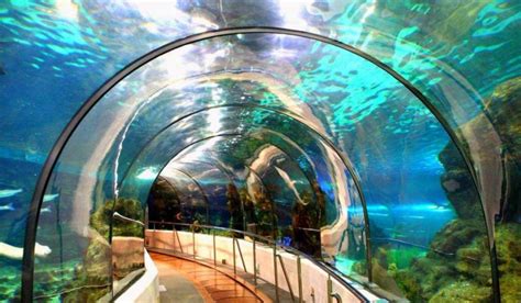 Barcelona Aquarium tunnel | Underwater city, Barcelona ...