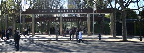 Barcelona cuenta con veterinarios en el comité de ética de ...