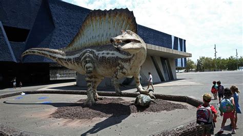 Barcelona exhibe una reproducción del dinosaurio carnívoro ...