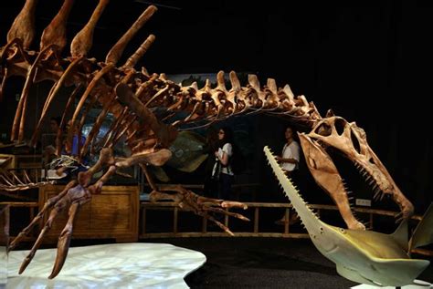 Barcelona exhibe una reproducción del dinosaurio carnívoro ...