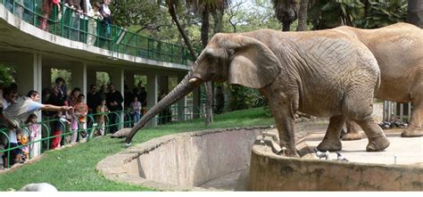 Barcelona Zoo: Buy Tickets Online | €19.90 | Skip the line