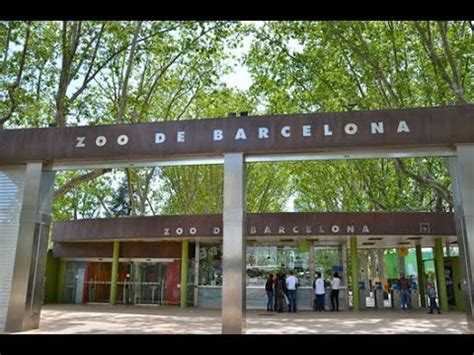 Barcelona Zoo, Spain   YouTube