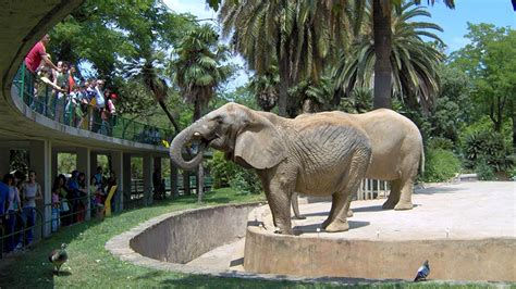 Barcelona Zoo | Tourism in Catalonia