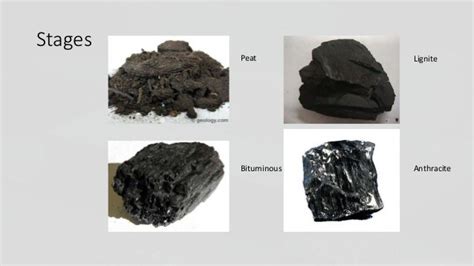 Basic information of Coal