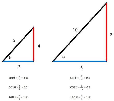 Basic Right Triangle Trigonometry | Carolina.com