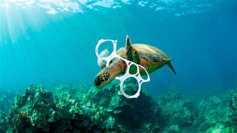 Basura plástica en mares y océanos, grave amenaza para el ...