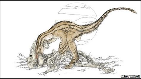 BBC Mundo   Ciencia y Tecnología   El Velociraptor que ...