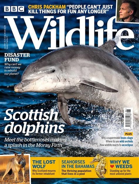 BBC Wildlife Magazine Subscription UK Offer in 2020 | Animal magazines ...