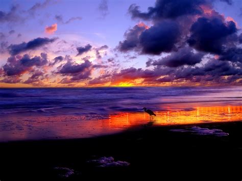 Beach sunset wallpaper desktop |See To World