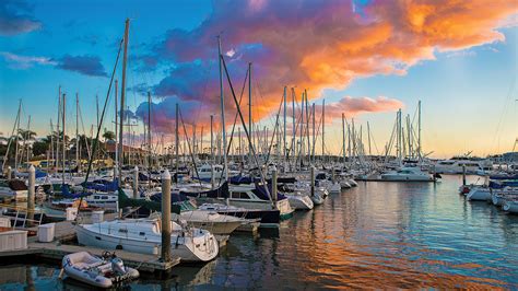 Beaches in Marina del Rey   The Ultimate Insider s Guide ...