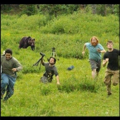 Bear chase | Funny pictures, Bones funny, Cute animals