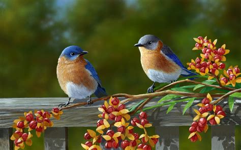 Beautiful Pair Of Birds | 2021 Live Wallpaper HD