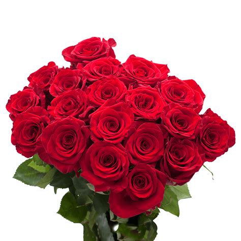 Beautiful Red Roses | GlobalRose