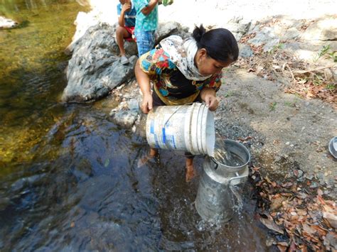 Beben agua contaminada con heces de sapos y monos | Critica