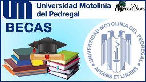 Becas Universidad Motolinia 2021 2022: Convocatoria, Registro Y ...