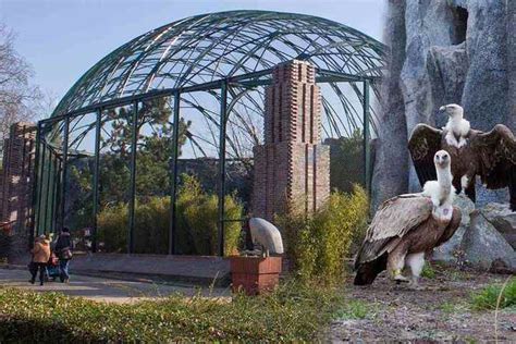 Begehbare Voliere ist fertig: Im Leipziger Zoo wirds vogelwild | TAG24