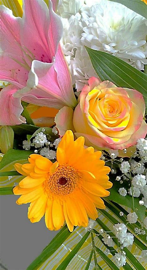 Bellas  con imágenes  | Flores, Hermosas flores, Flores ...